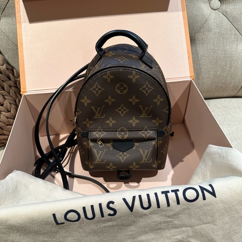 Louis Vuitton Palm Springs mini back pack